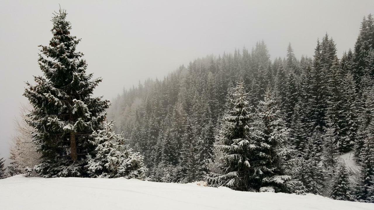 Ripsime Colina Marei Lejlighed Sinaia Eksteriør billede